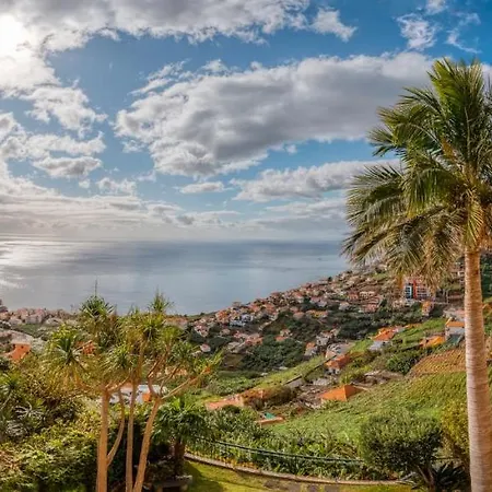 Palm Tree House By Amazing Madeira 别墅 *