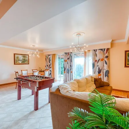 Palm Tree House By Amazing Madeira