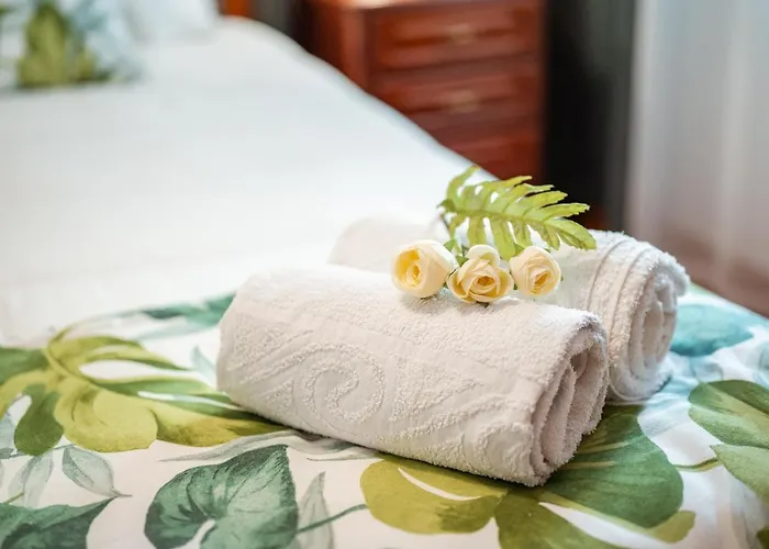 Palm Tree House By Amazing Madeira カマラ・デ・ロボス