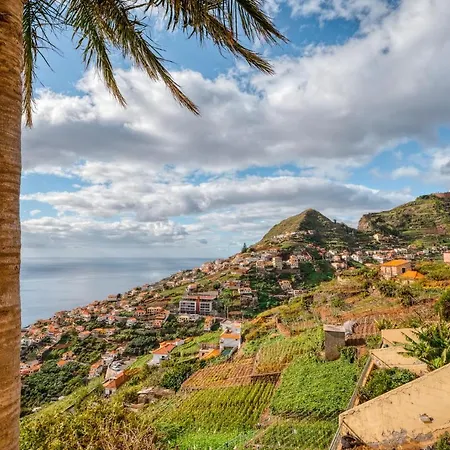 Palm Tree House By Amazing Madeira Вилла