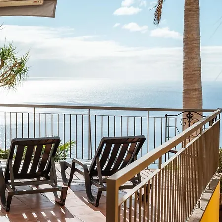 Willa Palm Tree House By Amazing Madeira Câmara de Lobos