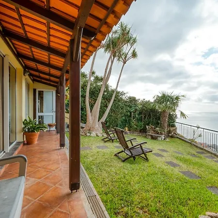 Palm Tree House By Amazing Madeira *