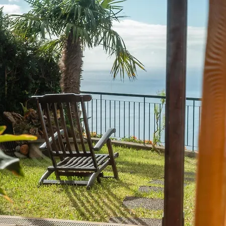 Palm Tree House By Amazing Madeira * 卡马拉-德洛布什