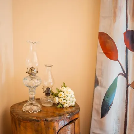 Palm Tree House By Amazing Madeira Willa