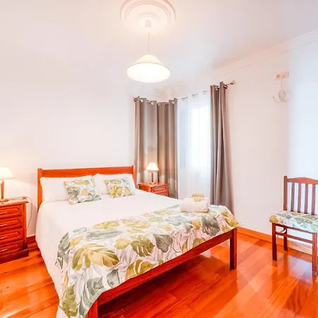 Palm Tree House By Amazing Madeira Willa *