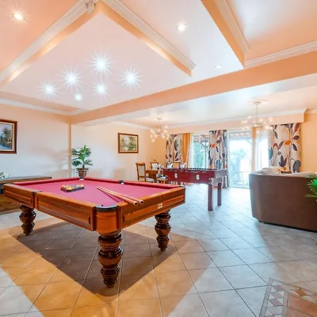 Palm Tree House By Amazing Madeira Willa