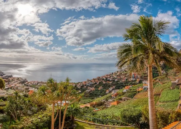 Palm Tree House By Amazing Madeira 别墅 *