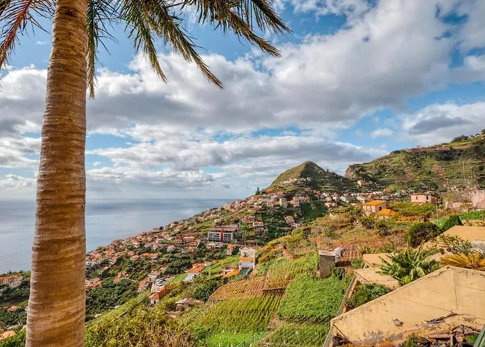 Palm Tree House By Amazing Madeira 别墅