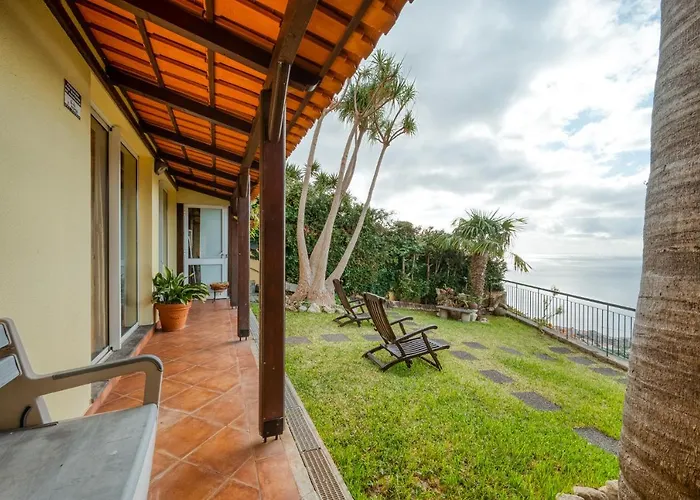 Palm Tree House By Amazing Madeira *