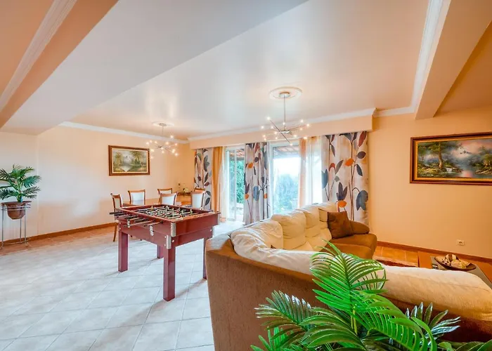 Palm Tree House By Amazing Madeira