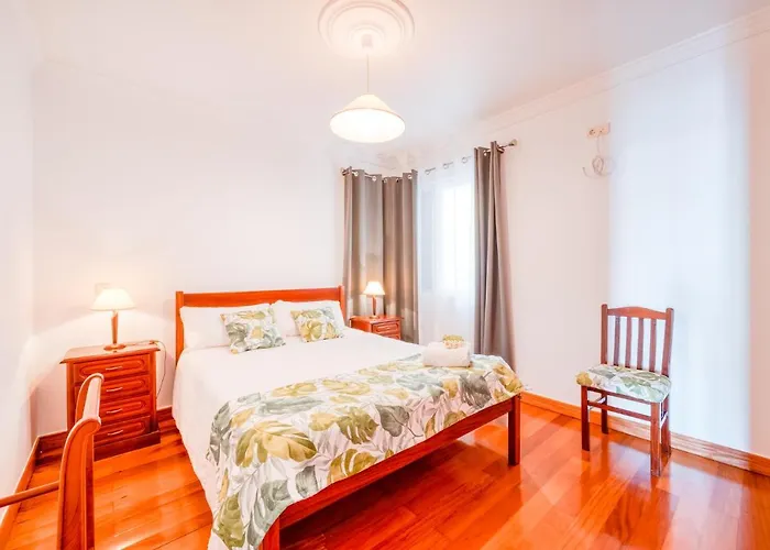 Palm Tree House By Amazing Madeira 别墅 *