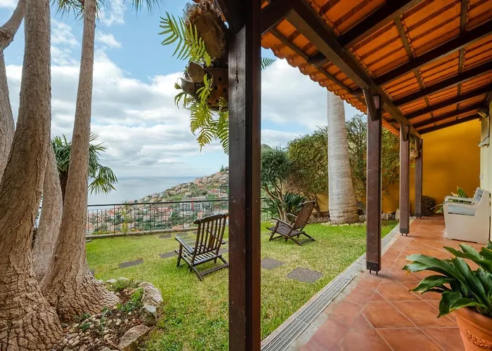 Palm Tree House By Amazing Madeira Câmara de Lobos